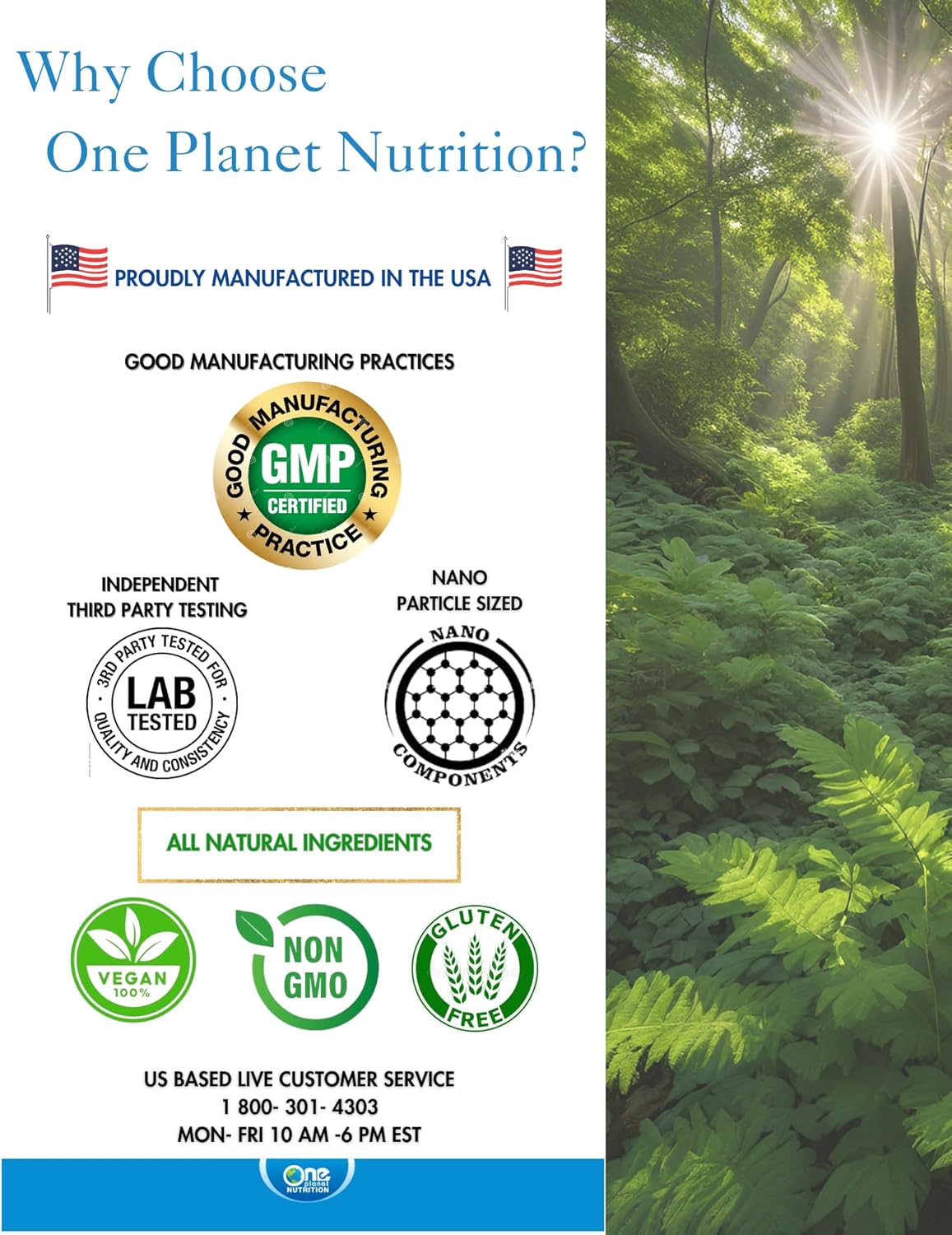 Nano Andrographis – Cápsulas vegetales de 500 mg (120 porciones), extracto de Andrographis paniculata, nano para absorción superior, apoya el