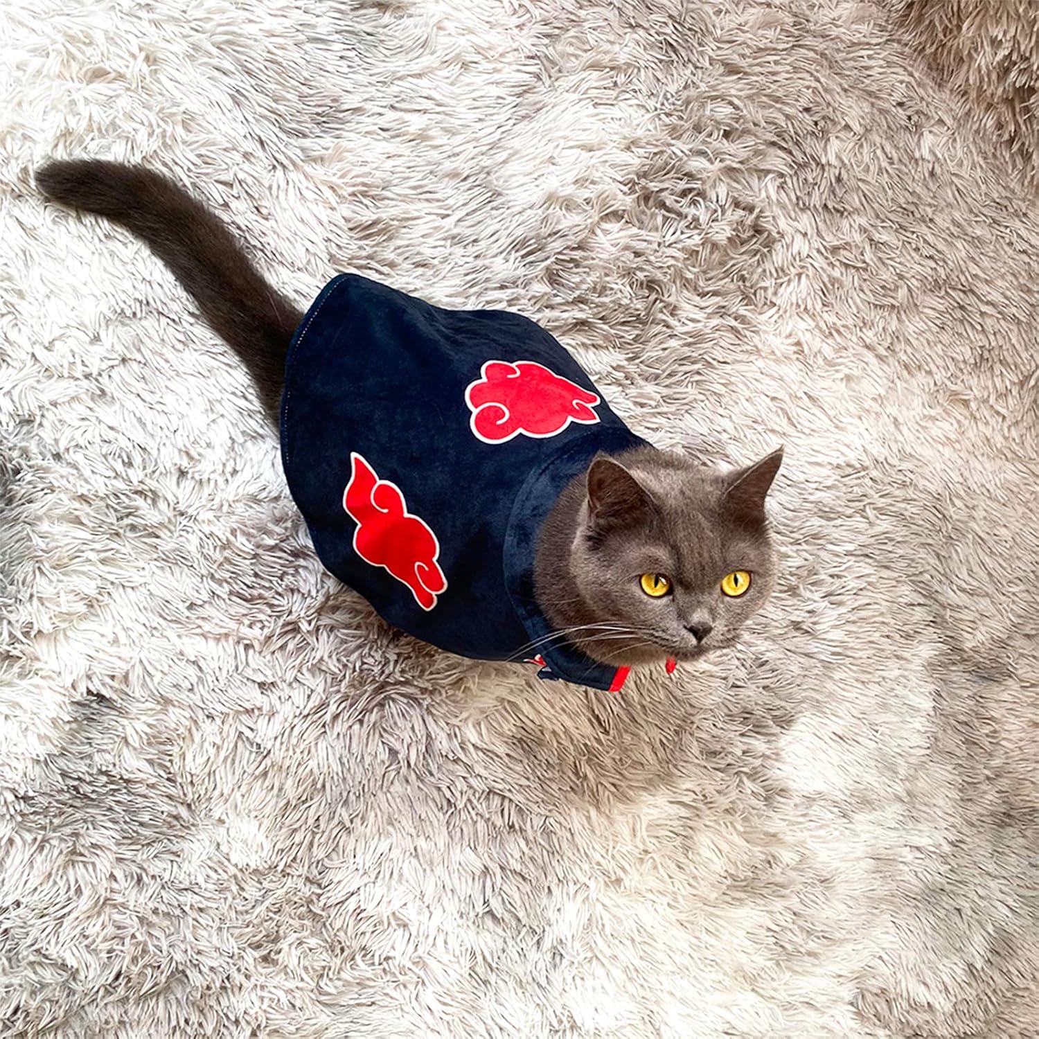 Disfraz de capa de gato de animé de Halloween, ropa para mascotas, cachorro cosplay, capa de ninja de felpa de Navidad, linda capa para disfraz de