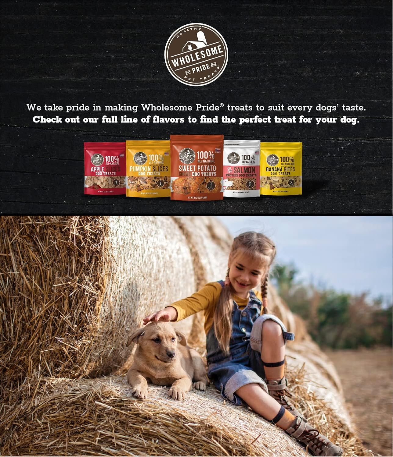 Wholesome Pride Receta de pollo funcional para perros de apoyo inmunológico Jerky Bites Golosinas para perros – 8 oz