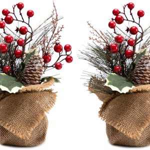LOHASBEE Mini árbol de Navidad, 2 paquetes de 10 pulgadas, pequeño árbol de Navidad portátil con bayas rojas para regalo para niños, oficina, mesa y LOHASBEE Mini árbol de Navidad, 2 paquetes de 10 pulgadas, pequeño árbol de Navidad portátil con bayas rojas para regalo para niños, oficina, mesa y