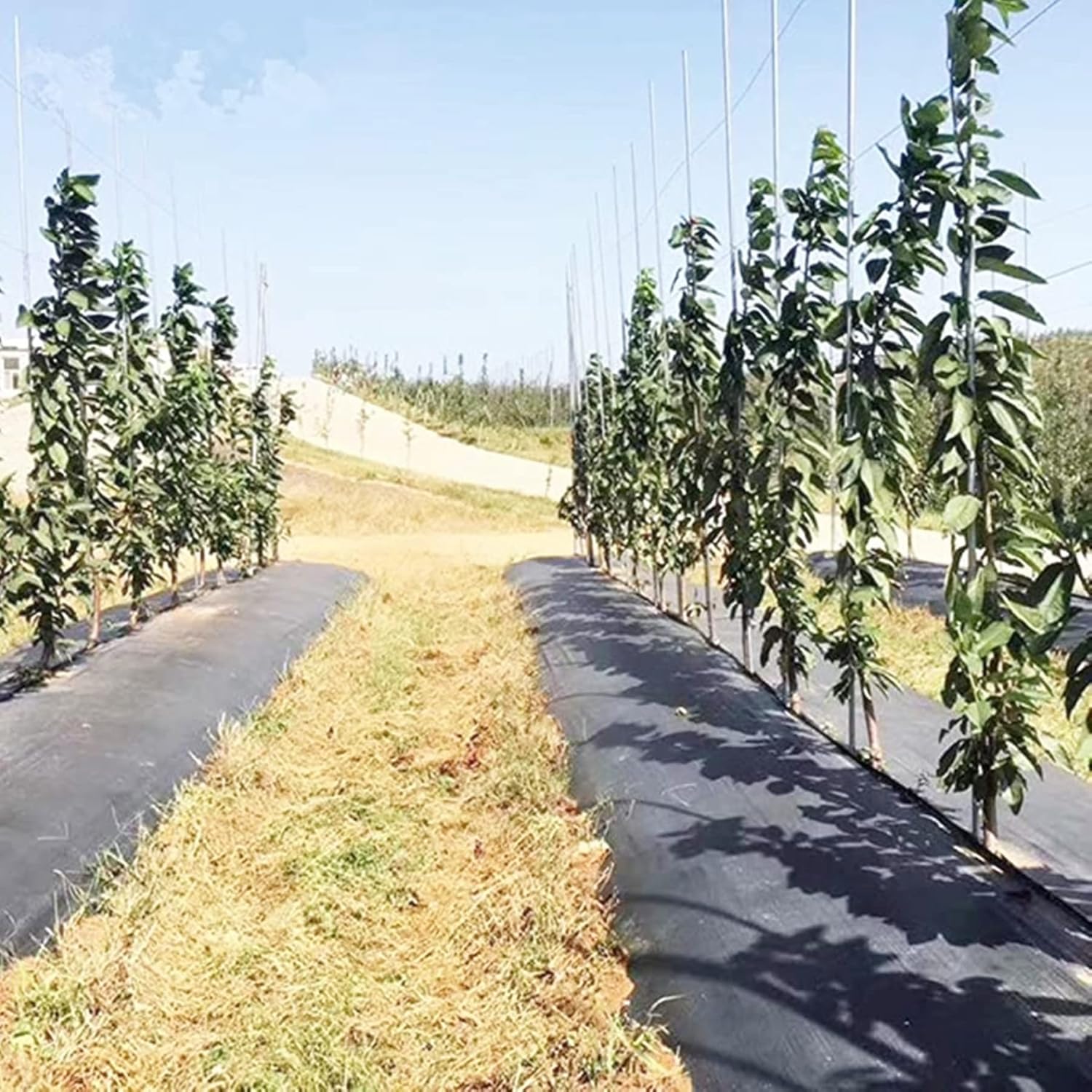 Tela de barrera contra malezas de 3 onzas, cubierta de suelo de alta calidad, tapete de jardinería comercial resistente, control de malezas