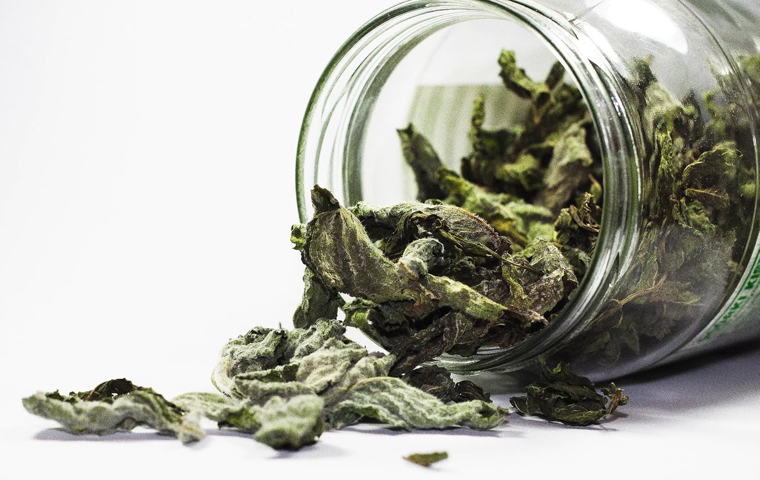 Organic Way Lungwort Hierba (Pulmonaria officinalis) Polvo – Té de hierbas  Certificado orgánico y Kosher  Crudo, vegano, sin OMG y sin gluten
