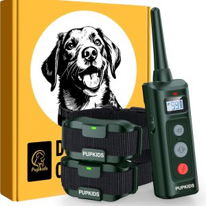 Collar de choque para perros con control remoto, paquete de 2 Collar de entrenamiento de perro de 4000 pies, 108 niveles, collar electrónico con 3 Collar de choque para perros con control remoto, paquete de 2 Collar de entrenamiento de perro de 4000 pies, 108 niveles, collar electrónico con 3