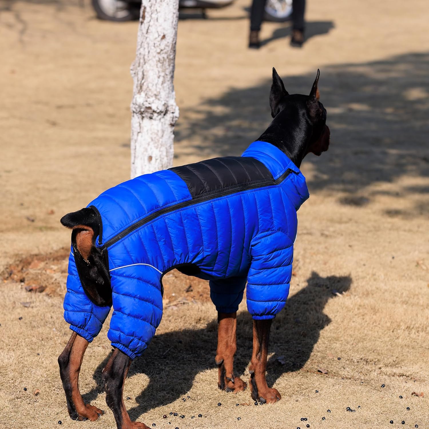Abrigo para perro, chaqueta cálida para perro, 4 patas cubiertas, impermeable, resistente al viento, reflectante, chaleco cálido para perro, con