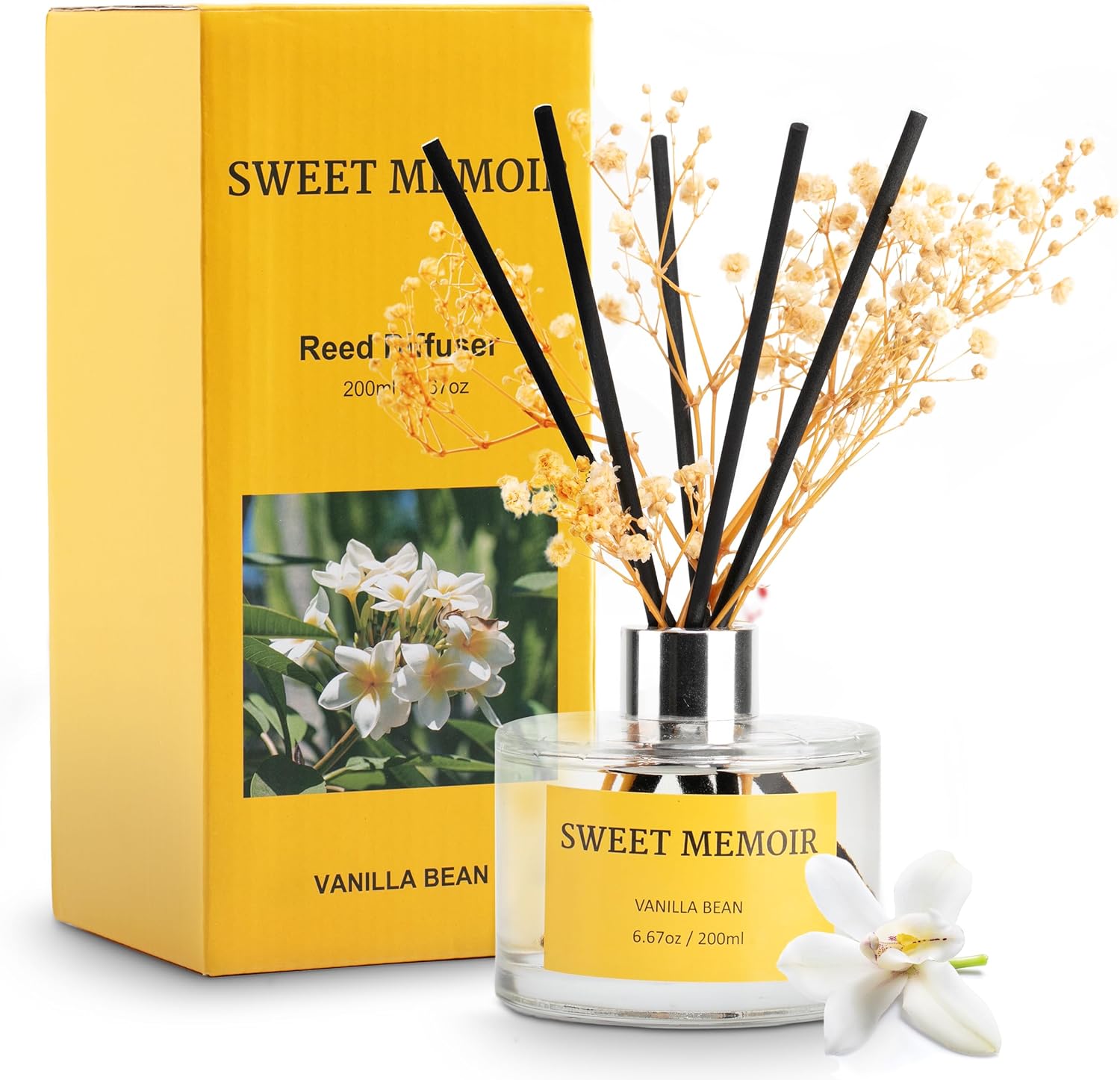 Juego de difusor de varillas de aceite esencial, grano de vainilla, botella decorativa, flores preservadas y varillas difusoras, regalo de
