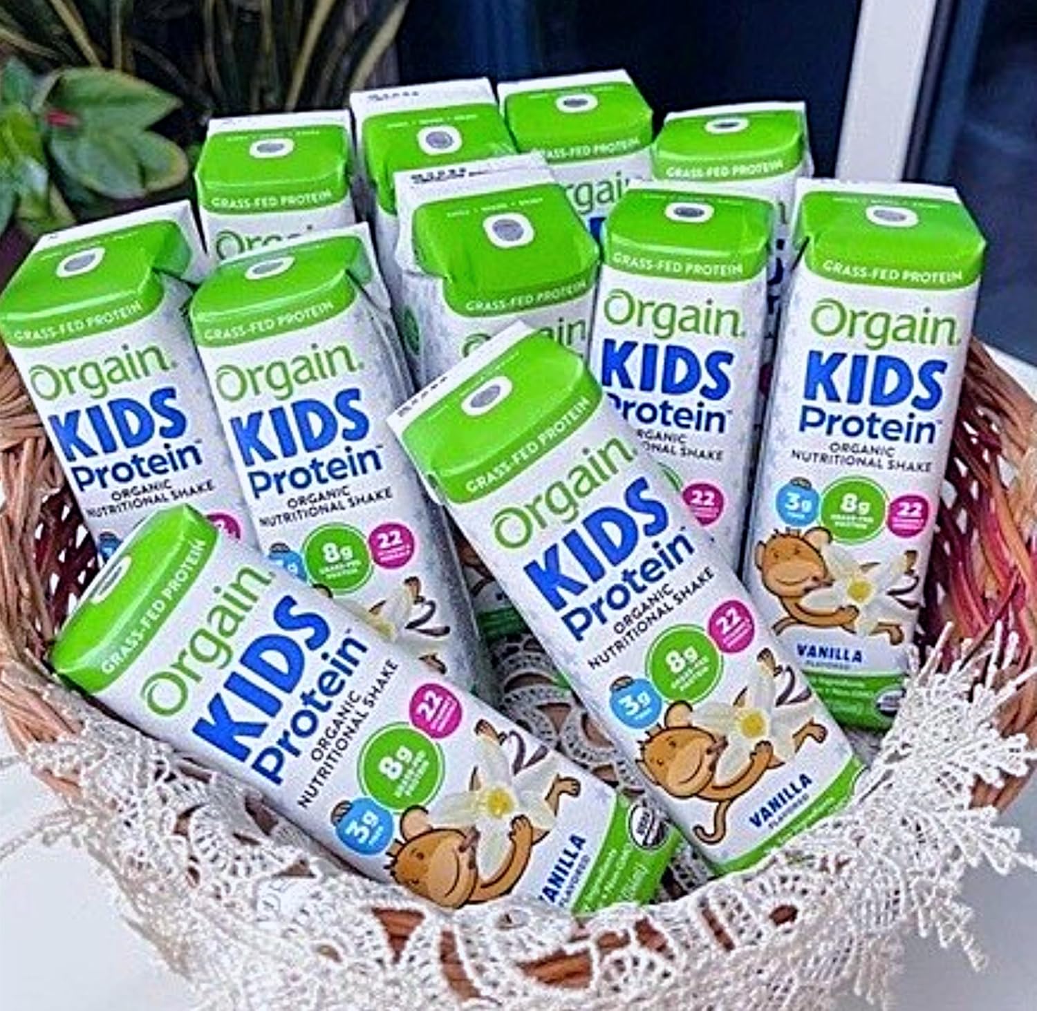 Batido de proteínas para niños, batido nutricional orgánico de proteínas para niños, aperitivo para niños con 0.31 onzas de proteína láctea, 22