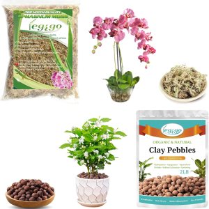 Legigo 2 cuartos de galón de musgo esfagnum natural y 2 libras de guijarros de arcilla expandida orgánica para plantas, plantas carnívoras secas al Legigo 2 cuartos de galón de musgo esfagnum natural y 2 libras de guijarros de arcilla expandida orgánica para plantas, plantas carnívoras secas al