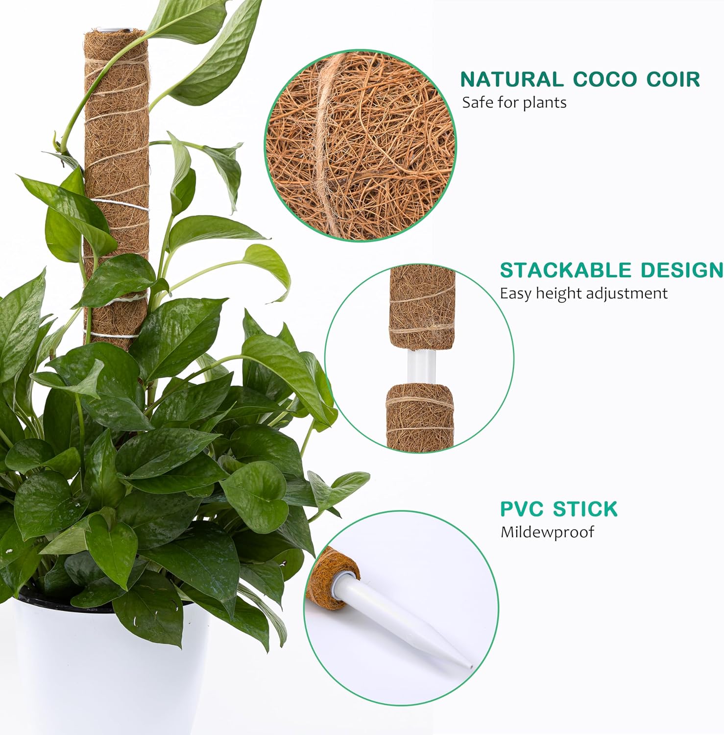 Poste de musgo de 63 pulgadas para plantas Monstera, paquete de 4 postes de musgo de 19.9 pulgadas para plantas trepadoras, estacas para plantas de
