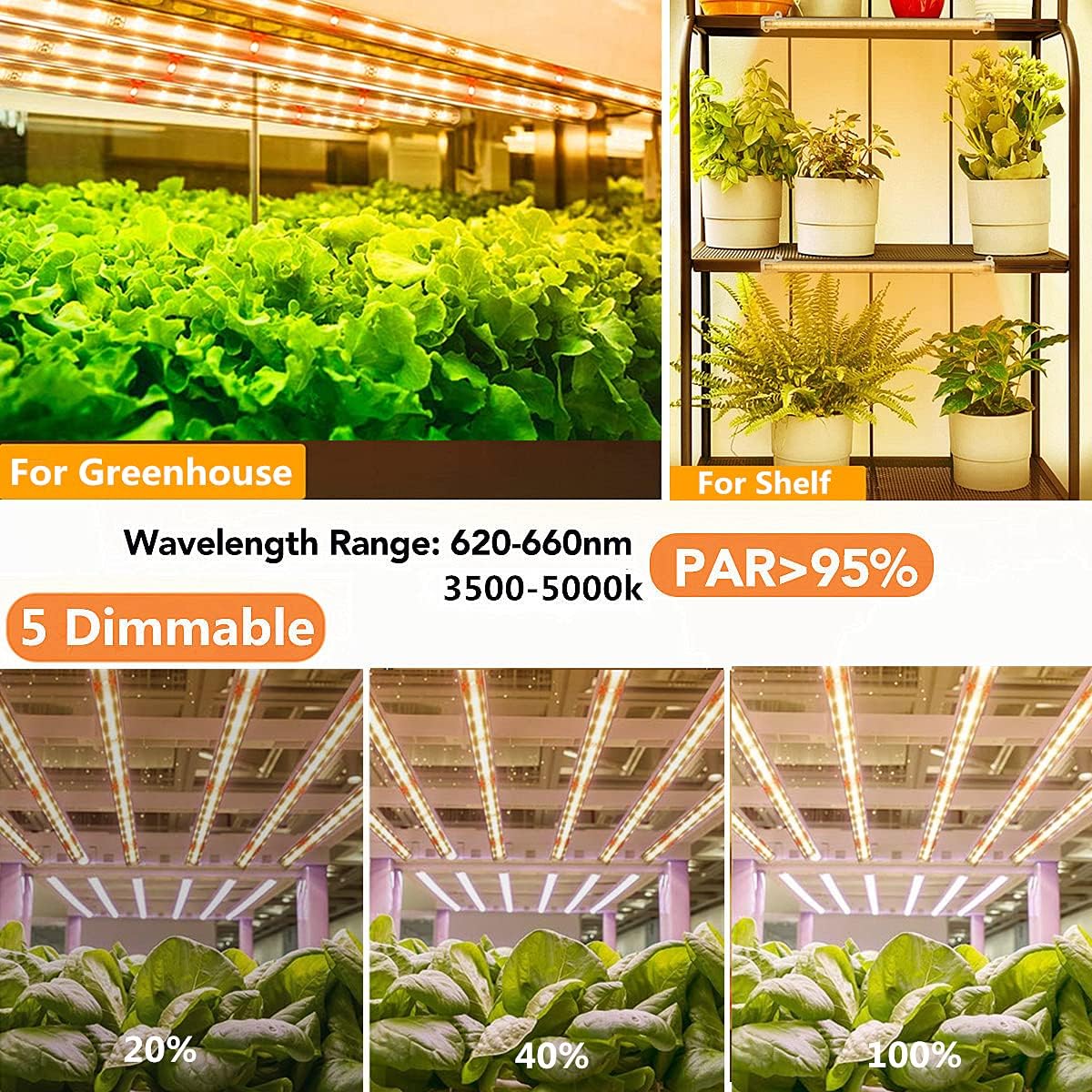 GooingTop Tira de luz LED de crecimiento, 3500 K, lámpara blanca de espectro completo para sembrar plantas de interior suculentas, temporizador de