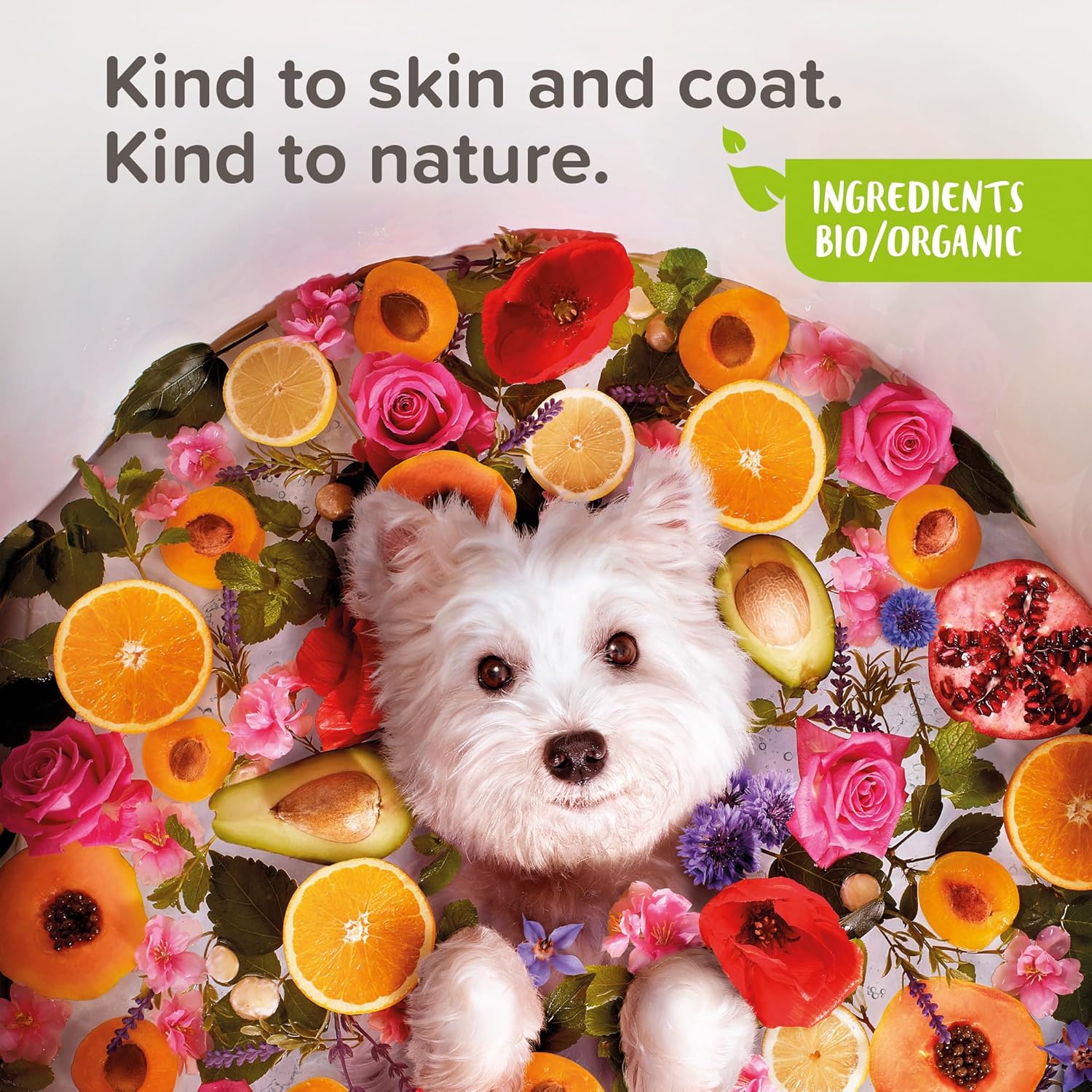 BEAPHAR Aerosol desenredante etiquetado ECOCERT para perros y gatos – Fabricado en Francia – Contiene aloe vera, aceite de borraja y menta orgánica