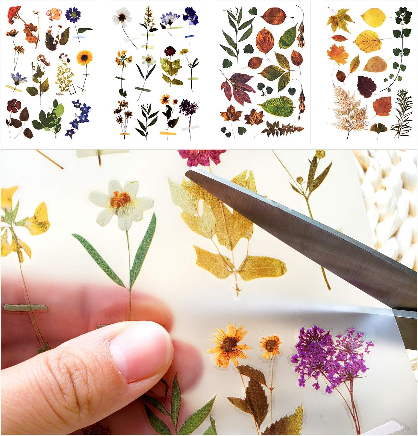 Pegatinas de transferencia para álbumes de recortes, calcomanías de flores, calcomanías de decoración, calcomanías de planificación, calcomanías de