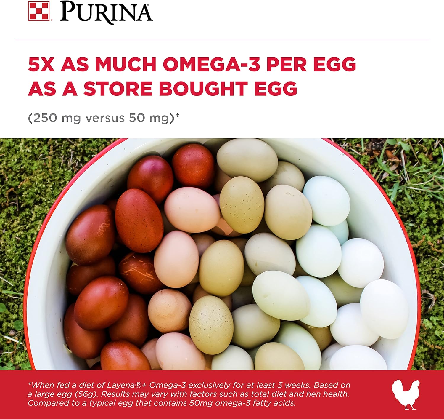 Purina Layena+  Alimento nutricionalmente completo para gallinas  Fórmula Omega 3 – Bolsa de 40 libras (40 libras)