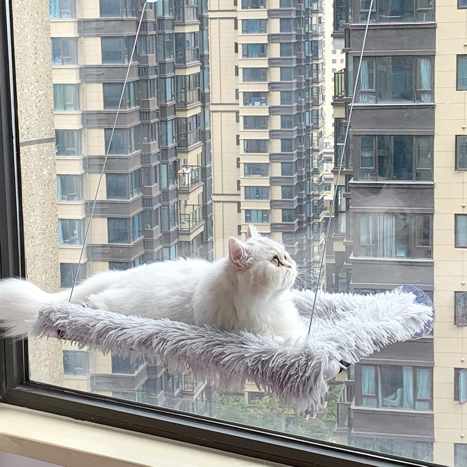 Percha para ventana de gato, hamaca de seguridad con ventosas fuertes, asiento de descanso para mascotas con manta esponjosa, proporciona un baño de