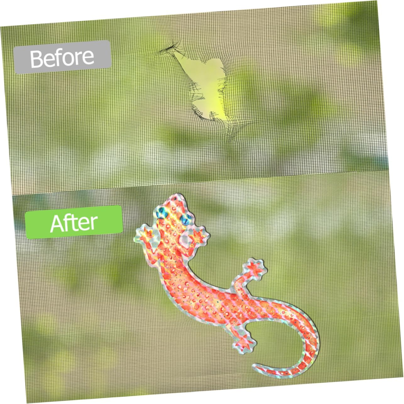 IMIKEYA 48 Pcs Gecko Magnetic Sticker Window Stickers Iridescent Decor 3D Wall Decor Garden Birds Wall Anti-Collision Window Decals Static Window