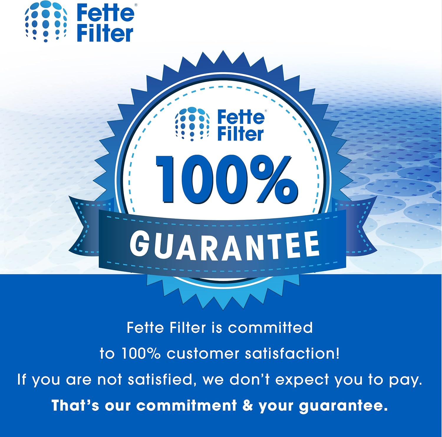 Fette Filter – Filtro de repuesto D480 Premium True Hepa H13 D4 compatible con el purificador de aire Winix D480 Número de pieza 1712-0100-02,