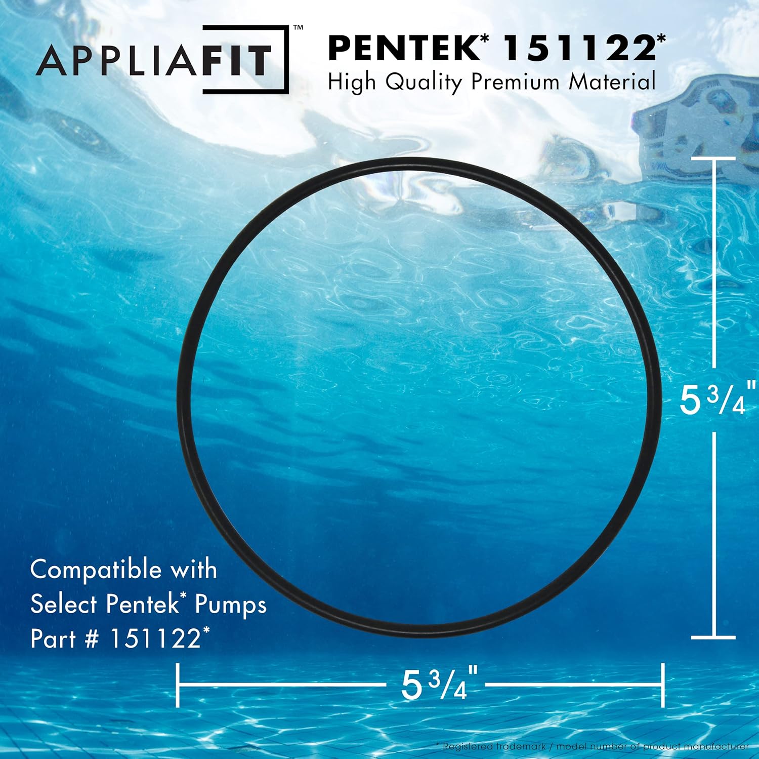 Junta tórica compatible con Pentek 151122 para filtros de agua azul grande y más (paquete de 1)
