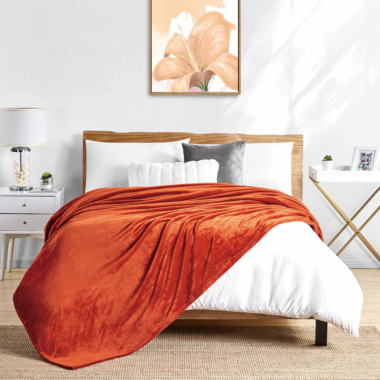 Manta de forro Walensee de felpa, ligera, de microfibra súper suave, para sofá, cama, ultralujosa, cálida y acogedora para todas las estaciones