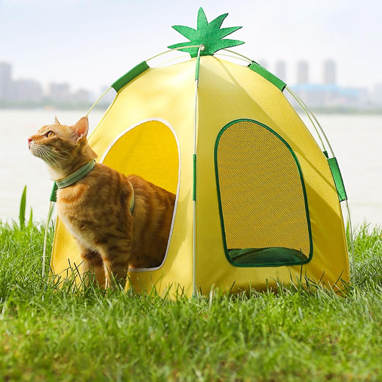 Tipi para mascotas, cama portátil para interior tipo tipi para perros, linda casa de refrigeración para mascotas, desmontable y lavable con malla