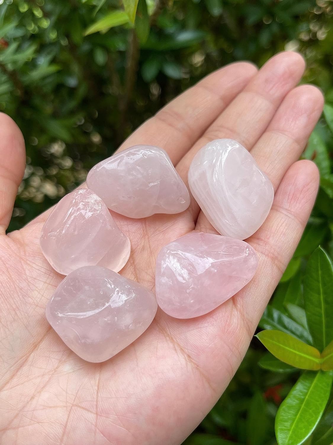 GAF TREASURES Piedras pulidas de 12 libra, piedra preciosa pulida, piedras pulidas, cristales caídos, piedras para Wicca, Reiki, terapia, meditación