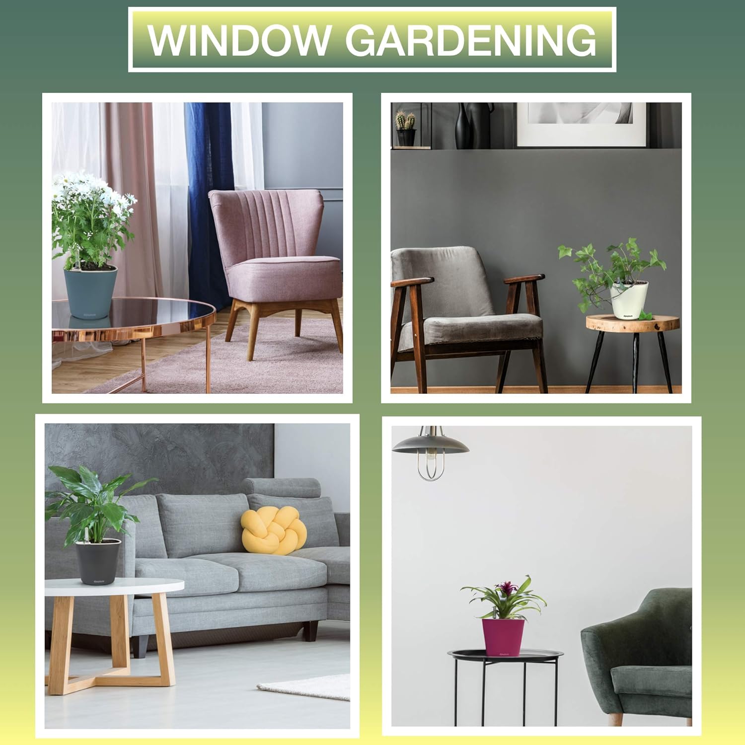 Window Garden – Maceta autorregable Aquaphoric de 7 pulg. + Tierra de fibra  Jardín interior infalible Maceta decorativa para plantas de hogar,