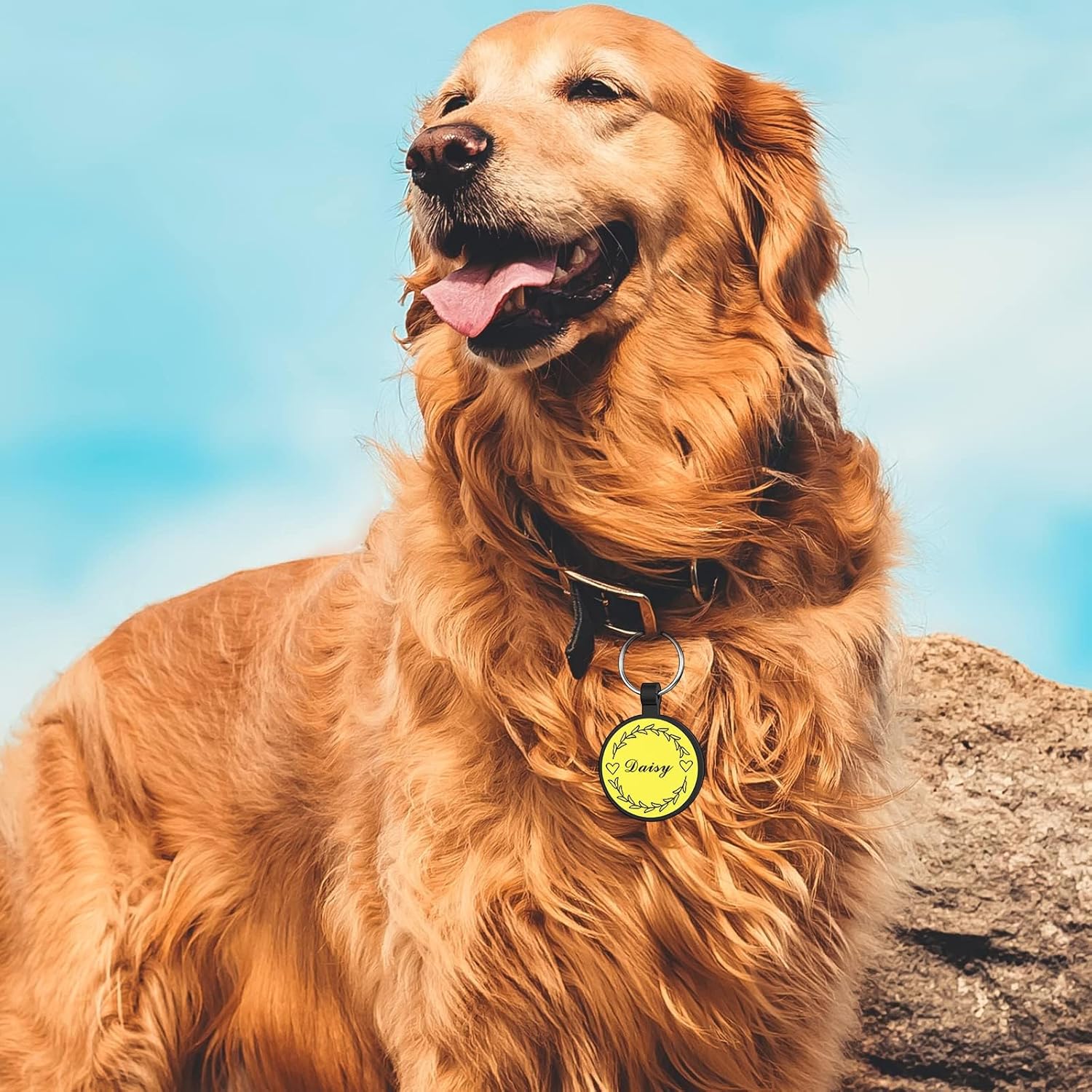 YEHANTI Etiquetas de perro de silicona grabadas para mascotas, placa de perro silenciosa, ligeras e impermeables, etiquetas personalizadas para