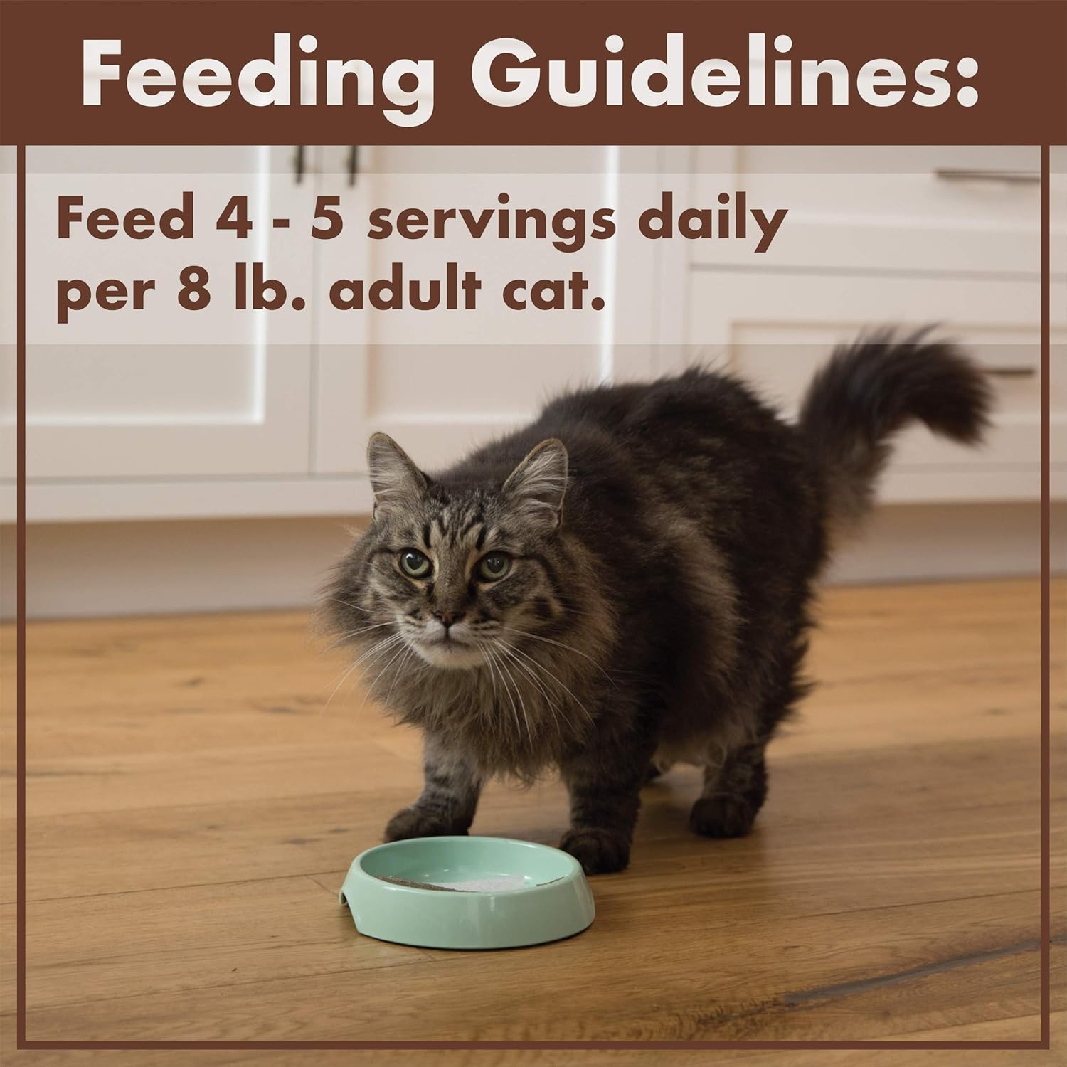 Nutro Perfect Portions – Alimento húmedo natural sin granos para gatos, paté