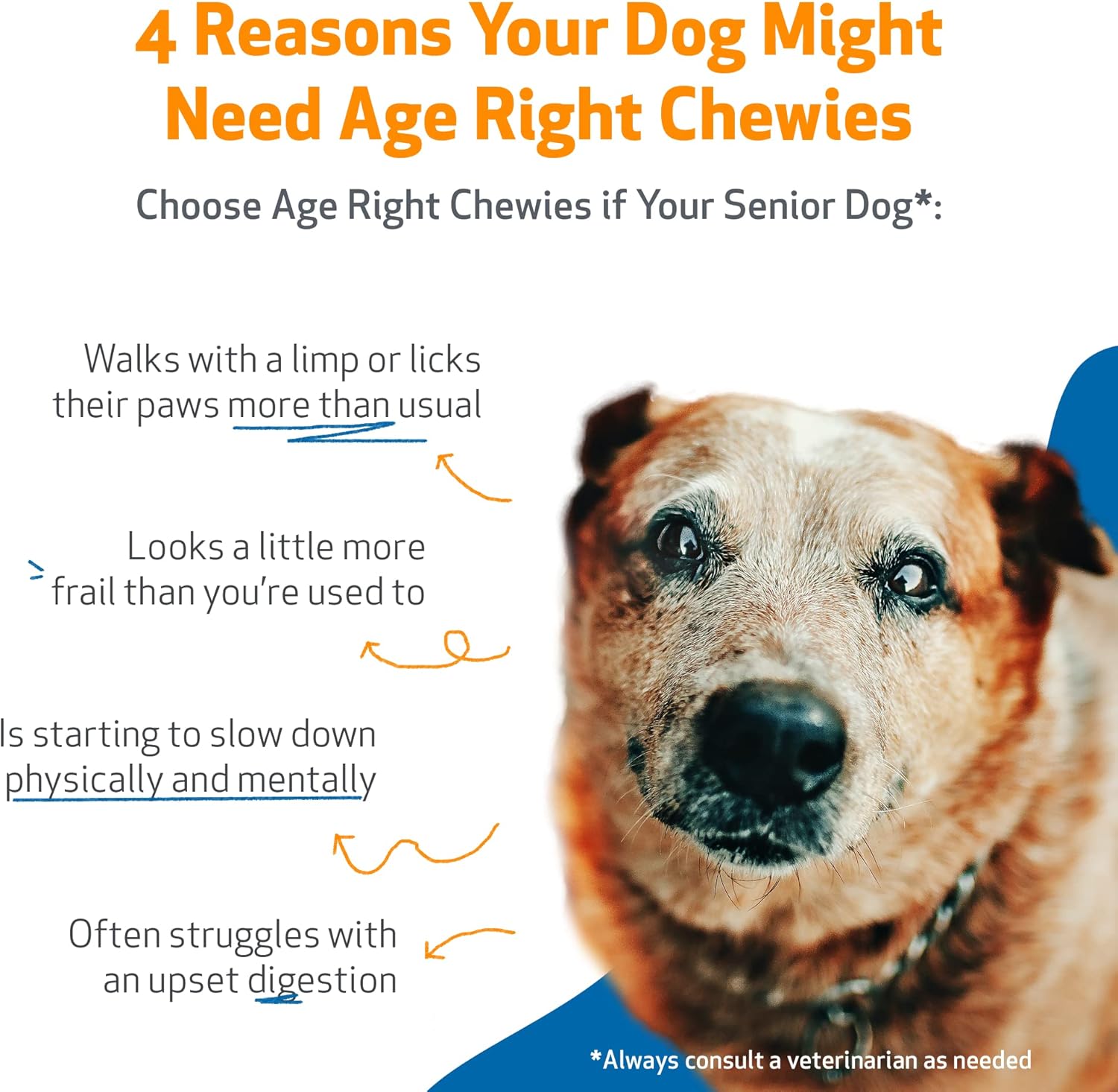 Pet Wellbeing Age Right – Masticables para perros en sus mejores y mayores años – Formulados por veterinarios – Soporte multifuncional diario para