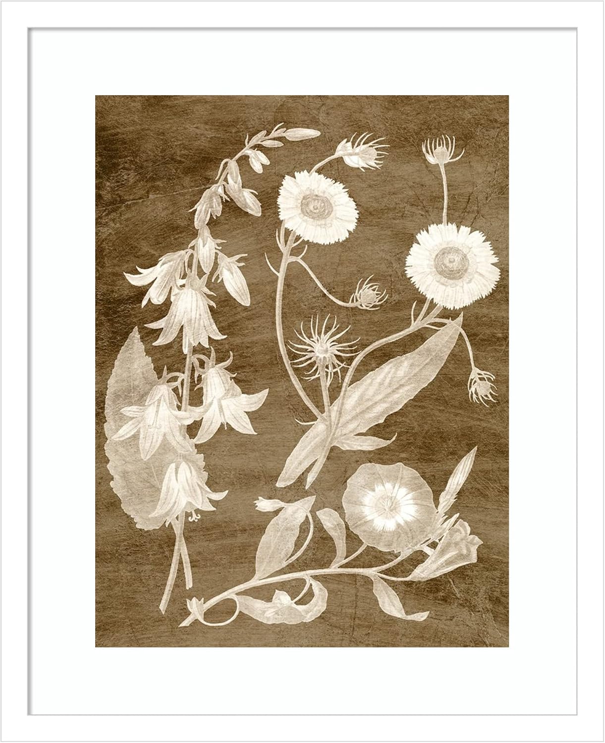 Amanti Art Framed Wall Art Print (17×21) Botanical in Taupe III by Vision Studio Framed Poster for Wall Decor, Living Room, Bedroom, Bathroom,