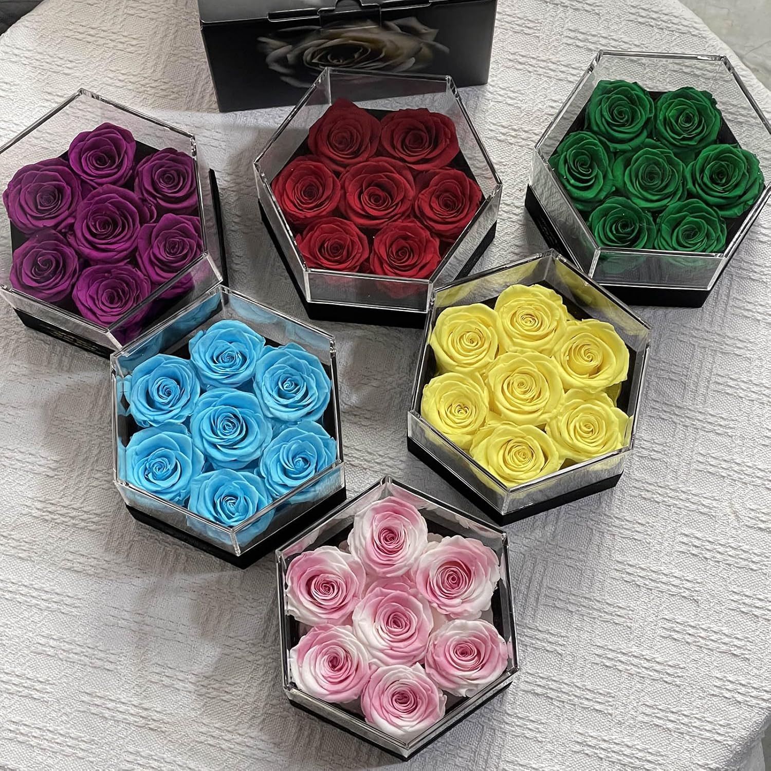 Kylin Glory Rosas preservadas con cubierta acrílica hexagonal, 7 piezas Forever Flowers, frescura visible, perfectas para regalos del día de la