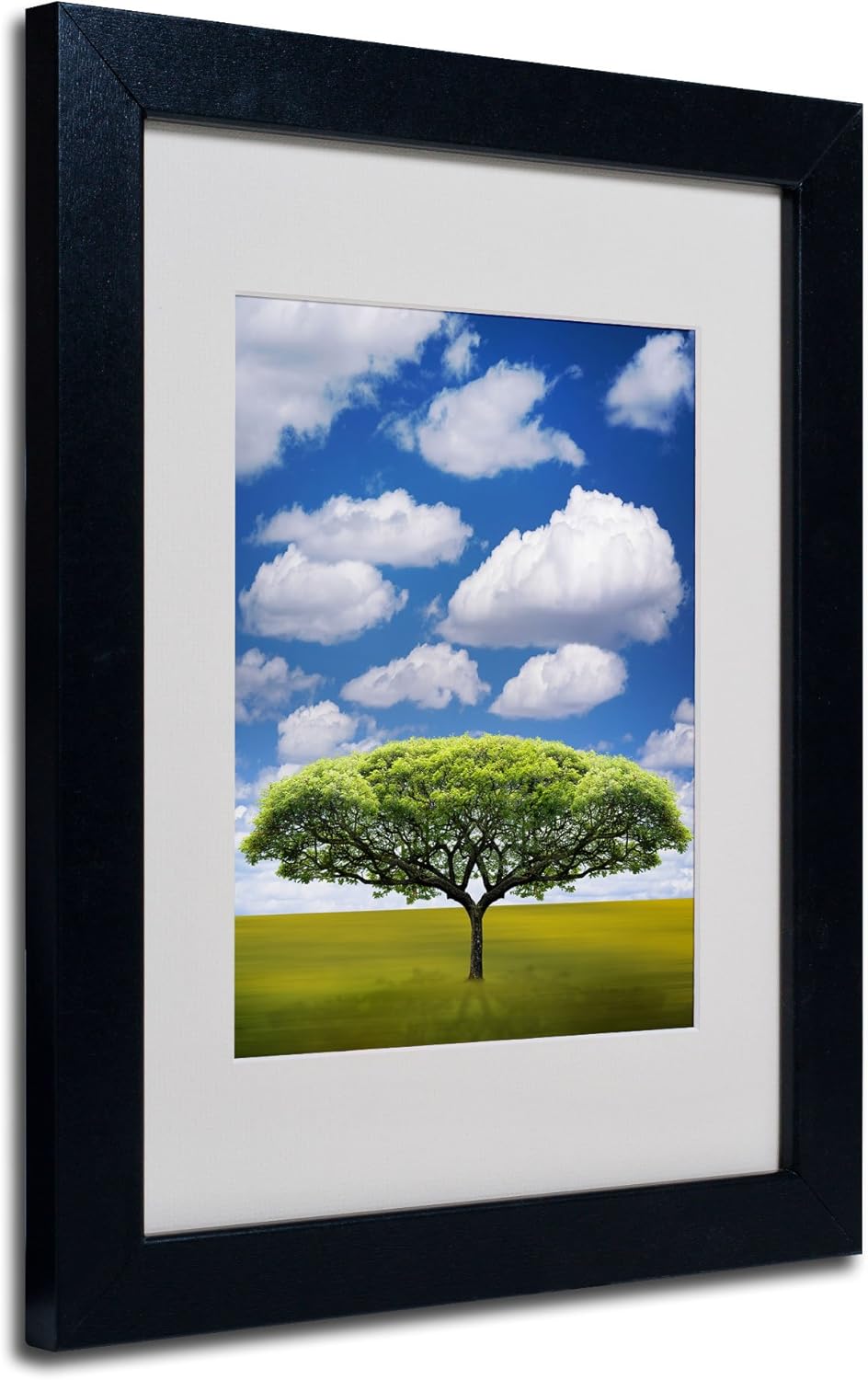 Marca Fine Art improbable Espacio Abierto por Philippe Sainte-Laudy Canvas Wall Art