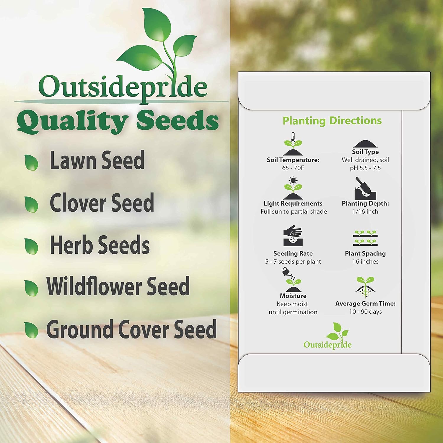 Outsidepride – 2000semillas de la hierba ornamental anual Panicum Violaceum (mijo morado Panic Grass) para sembrar.