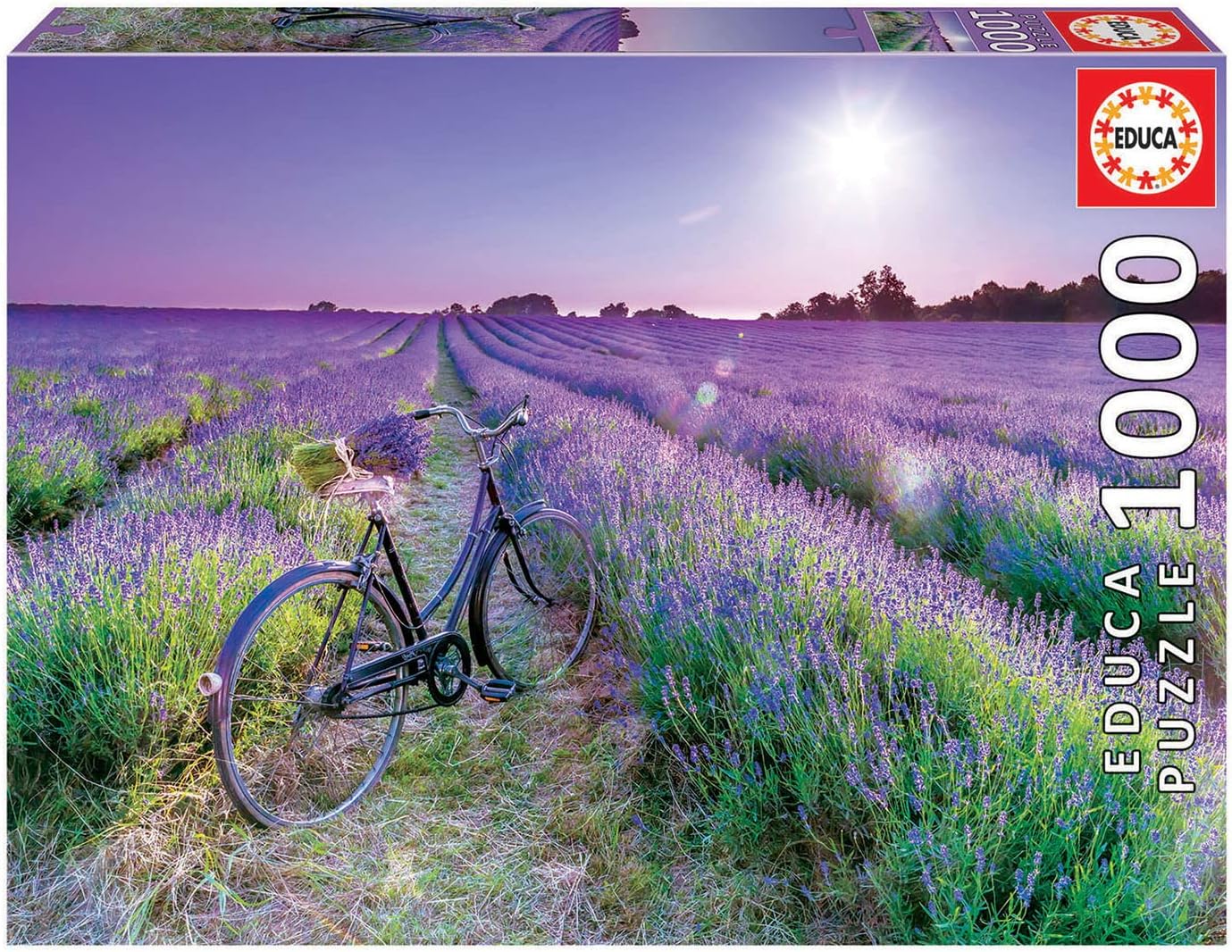 Educa – Bicicleta en un campo de lavanda – Rompecabezas de 1000 piezas – Pegamento para rompecabezas incluido – La imagen completa mide 26.8 x 18.9