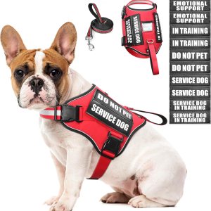 Juego de arnés y correa para perro, chaleco de entrenamiento para perro con 10 parches de velcro, arnés de chaleco de terapia de apoyo emocional Juego de arnés y correa para perro, chaleco de entrenamiento para perro con 10 parches de velcro, arnés de chaleco de terapia de apoyo emocional