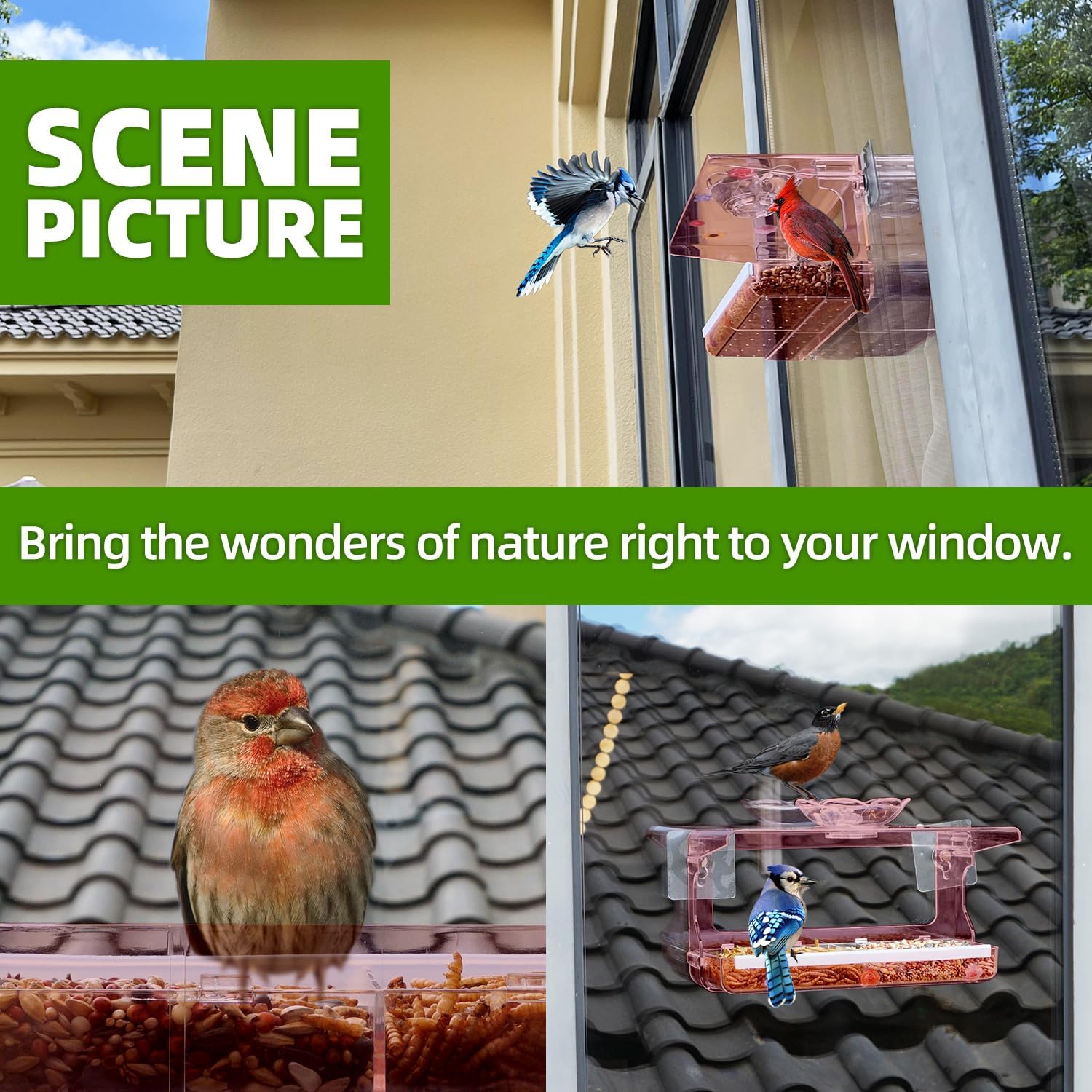 Comedero para pájaros con ventana con ganchos autoadhesivos que no dejan marcas, comedero de pájaros de ventana transparente para exteriores, casa