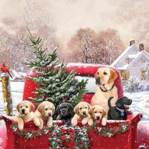 Kits de pintura de diamantes 5D de Navidad para adultos principiantes, perros de invierno, camión, arte redondo de diamantes de taladro completo, Kits de pintura de diamantes 5D de Navidad para adultos principiantes, perros de invierno, camión, arte redondo de diamantes de taladro completo,