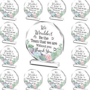 Yinder 12 piezas de premios de agradecimiento para compañeros de trabajo, placa acrílica, regalo de agradecimiento para empleados, colegas que dejan Yinder 12 piezas de premios de agradecimiento para compañeros de trabajo, placa acrílica, regalo de agradecimiento para empleados, colegas que dejan