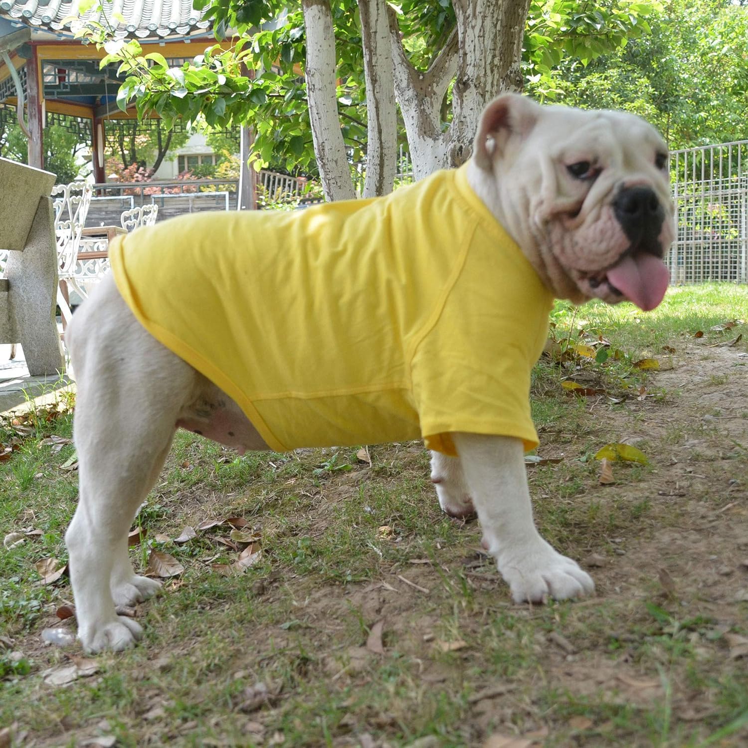 Lovelonglong 2019 – Ropa para mascotas, Disfraces para Perro, Ropa Camisetas en blanco para Perros Grande Medianos Pequeños 100% Algodón 18 Colores,