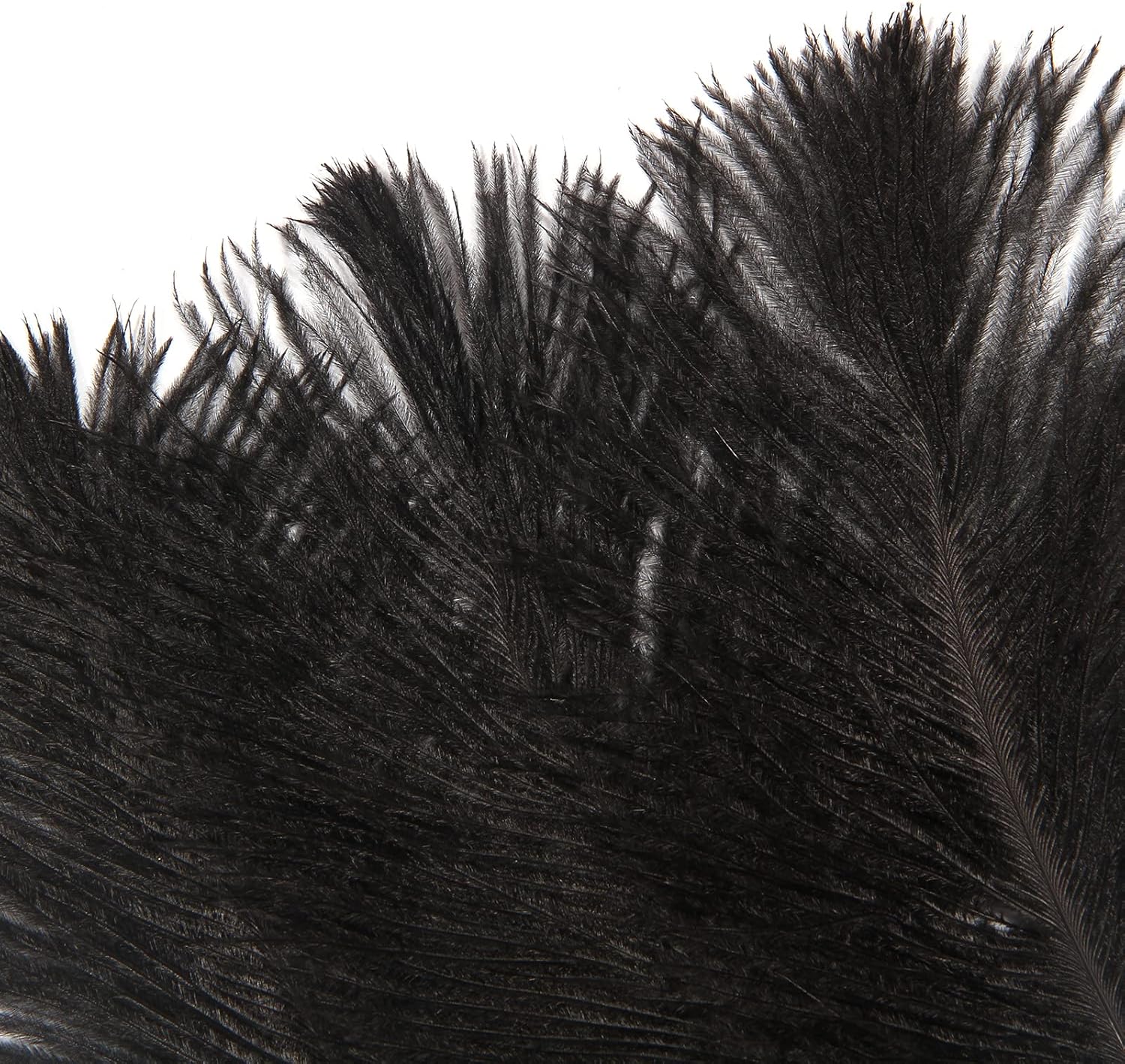 10 plumas de avestruz negro natural de 16-18 pulgadas 15.7-17.7 in para centros de mesa de fiesta de boda, decoración del hogar de Pascua