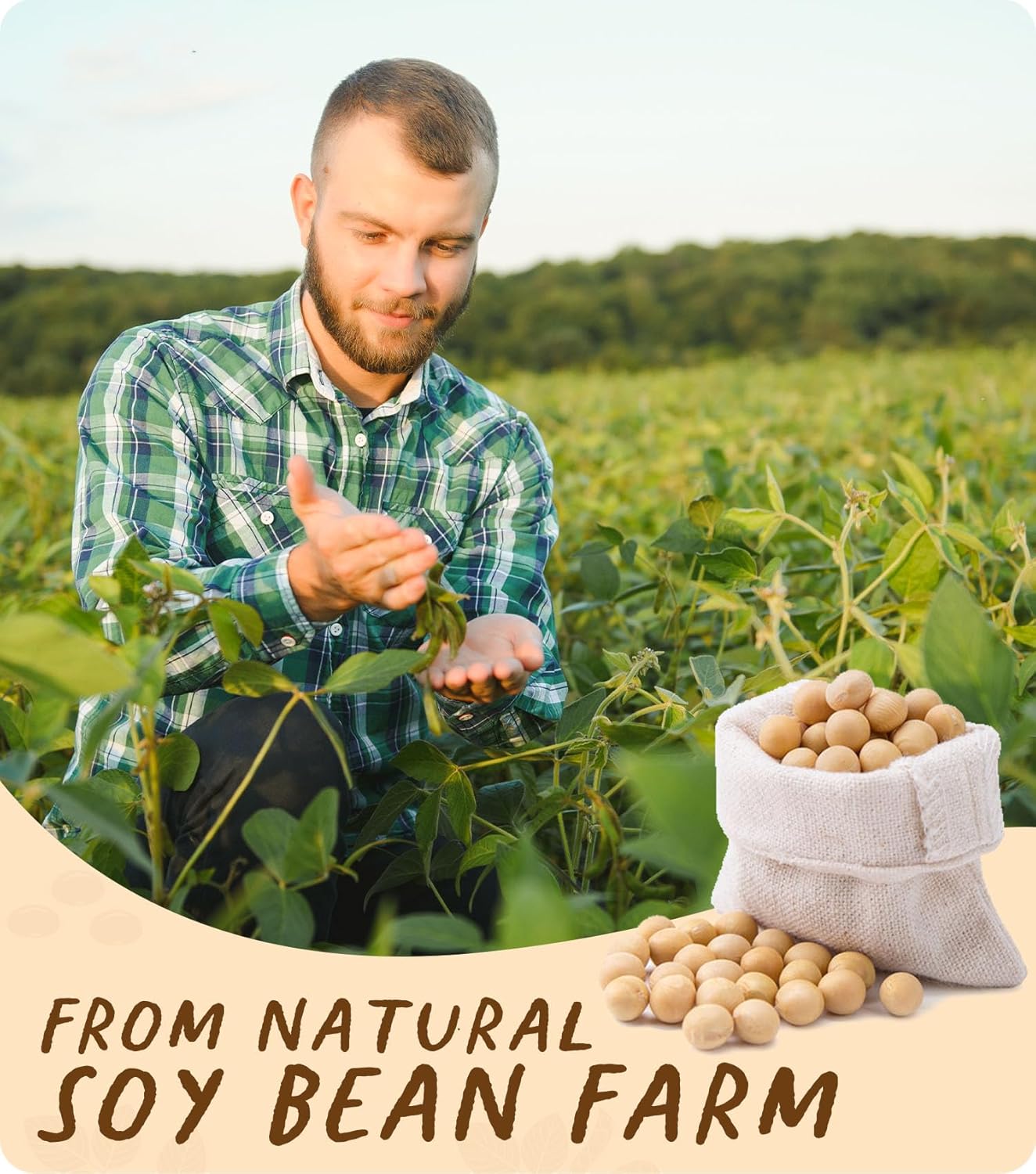 Cera de soja, cera natural para velas BOYUJK Premium, cera de soja 100% orgánica para fabricación de velas de granja, sin aditivos, inofensiva y