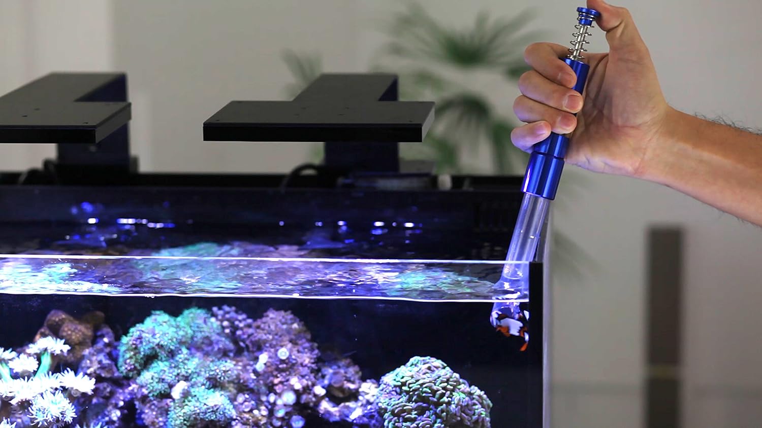 Innovative Marine Amoladora de artilugios gourmet