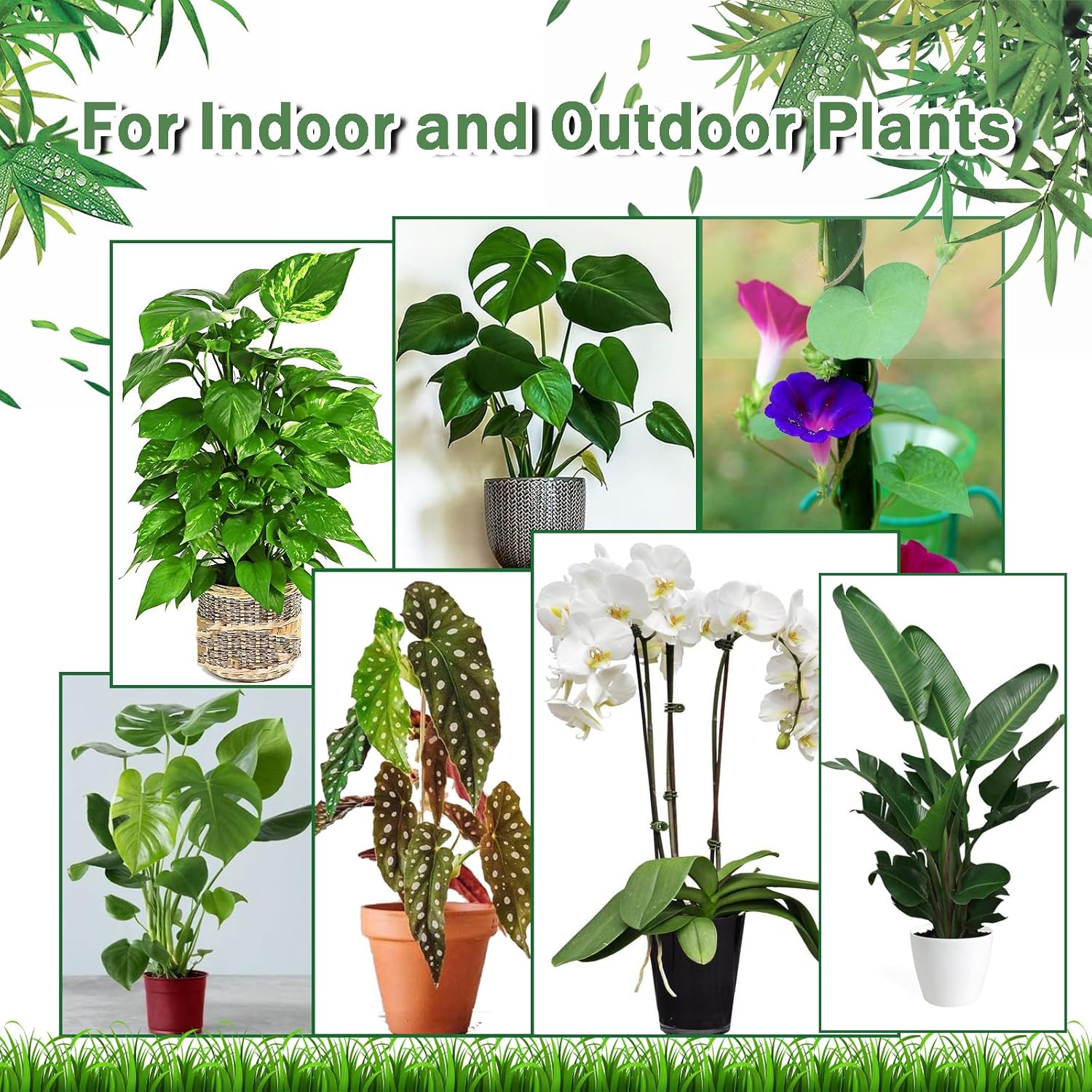 Juego de 5 estacas ajustables de 40 pulgadas de soporte para plantas, postes de enrejado para plantas en macetas de interior y exterior, estaca de