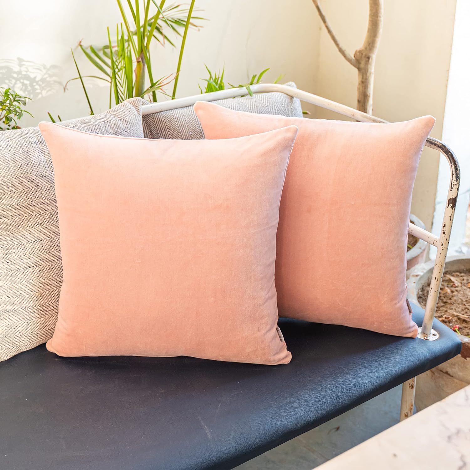 knilot Fundas de almohada color rubor de 16 x 16 pulgadas, paquete de 2 fundas de almohada de terciopelo cuadradas decorativas de color sólido
