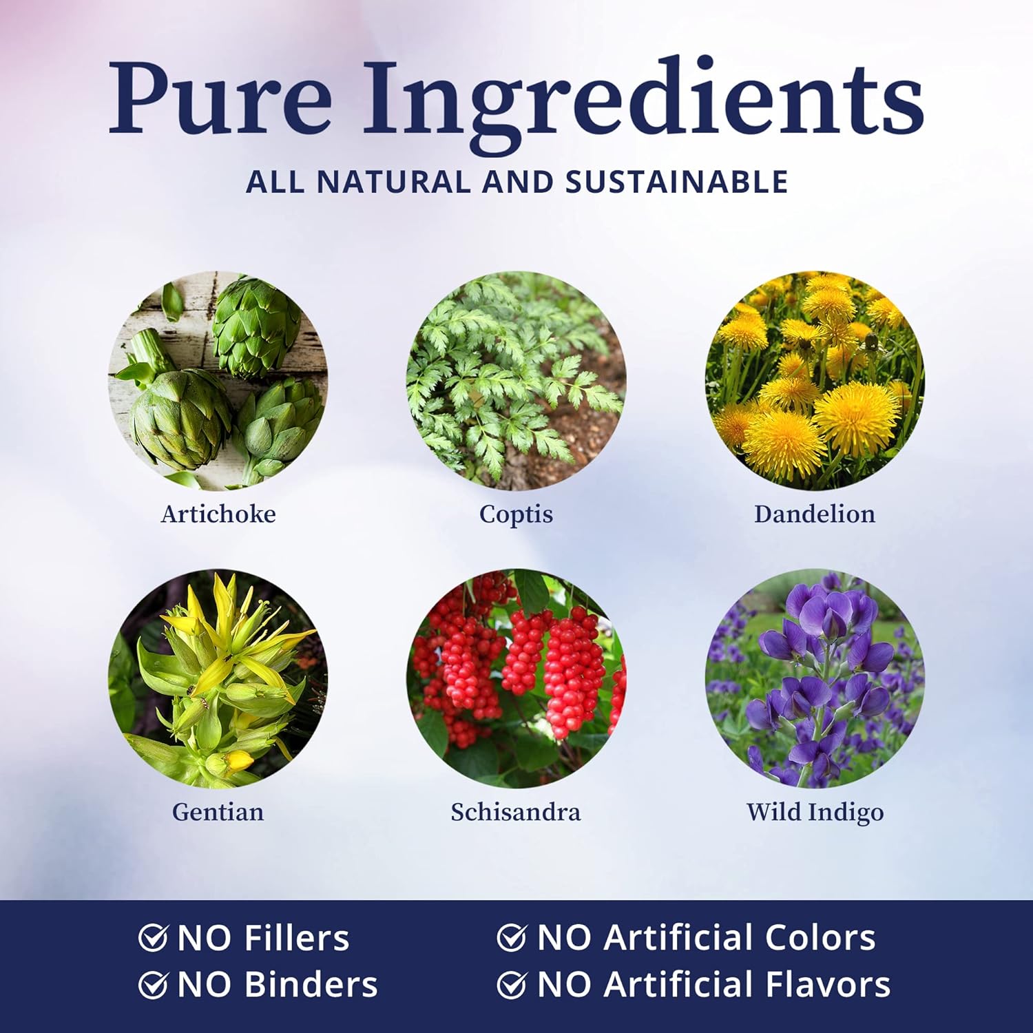BioPure Livessence – Tintura de hierbas  Potente mezcla de 6 extractos botánicos y liposomas para apoyar el equilibrio hepático, vesícula biliar,