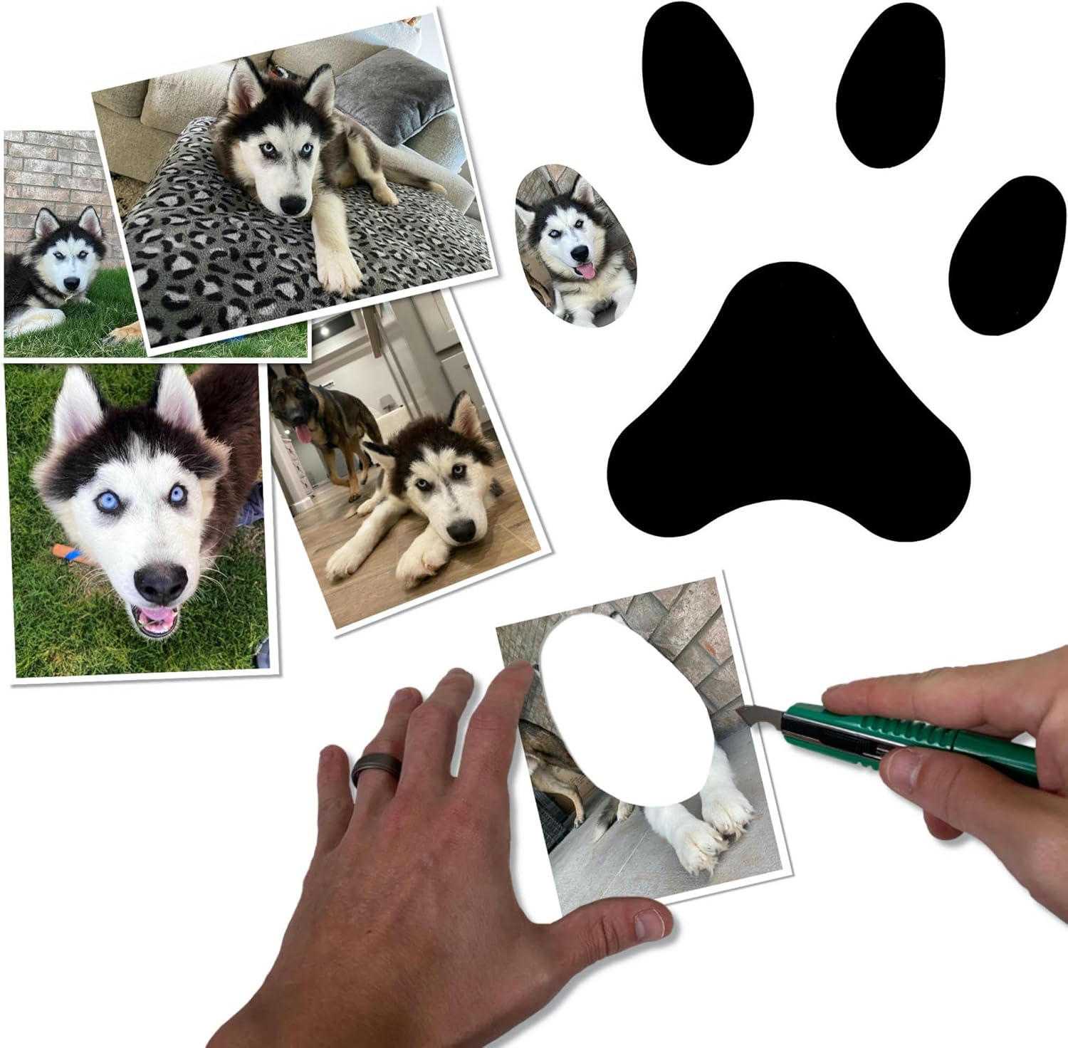 BARNWOODUSA Marco de collage de huellas de patas, marco de fotos con estampado de patas de perro o gato, marco de fotos para mascotas de 5