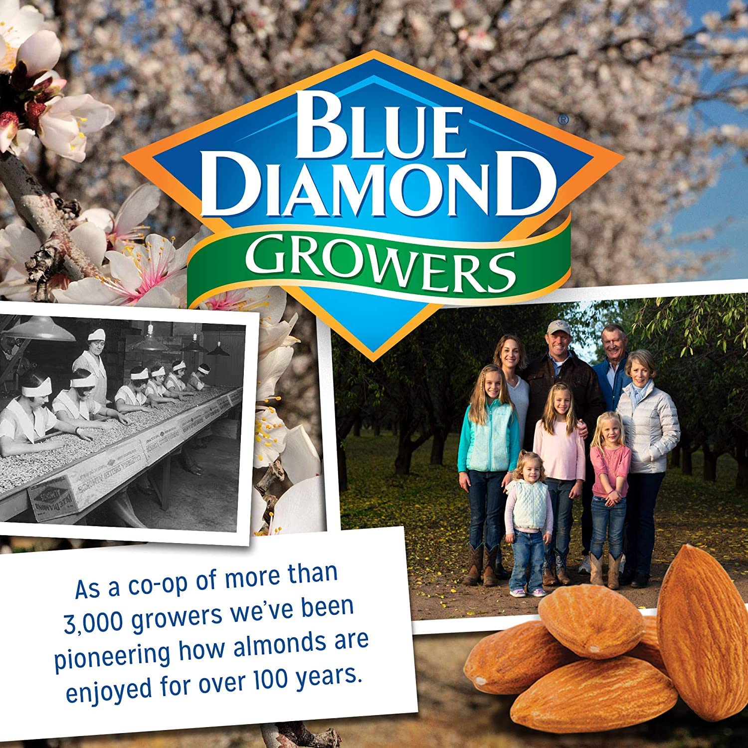 Blue Diamond Almonds Paquete variado de nueces para niños, oficina, escuela, sobre la marcha, paquetes individuales de 0.75 onzas sin gluten, wasabi