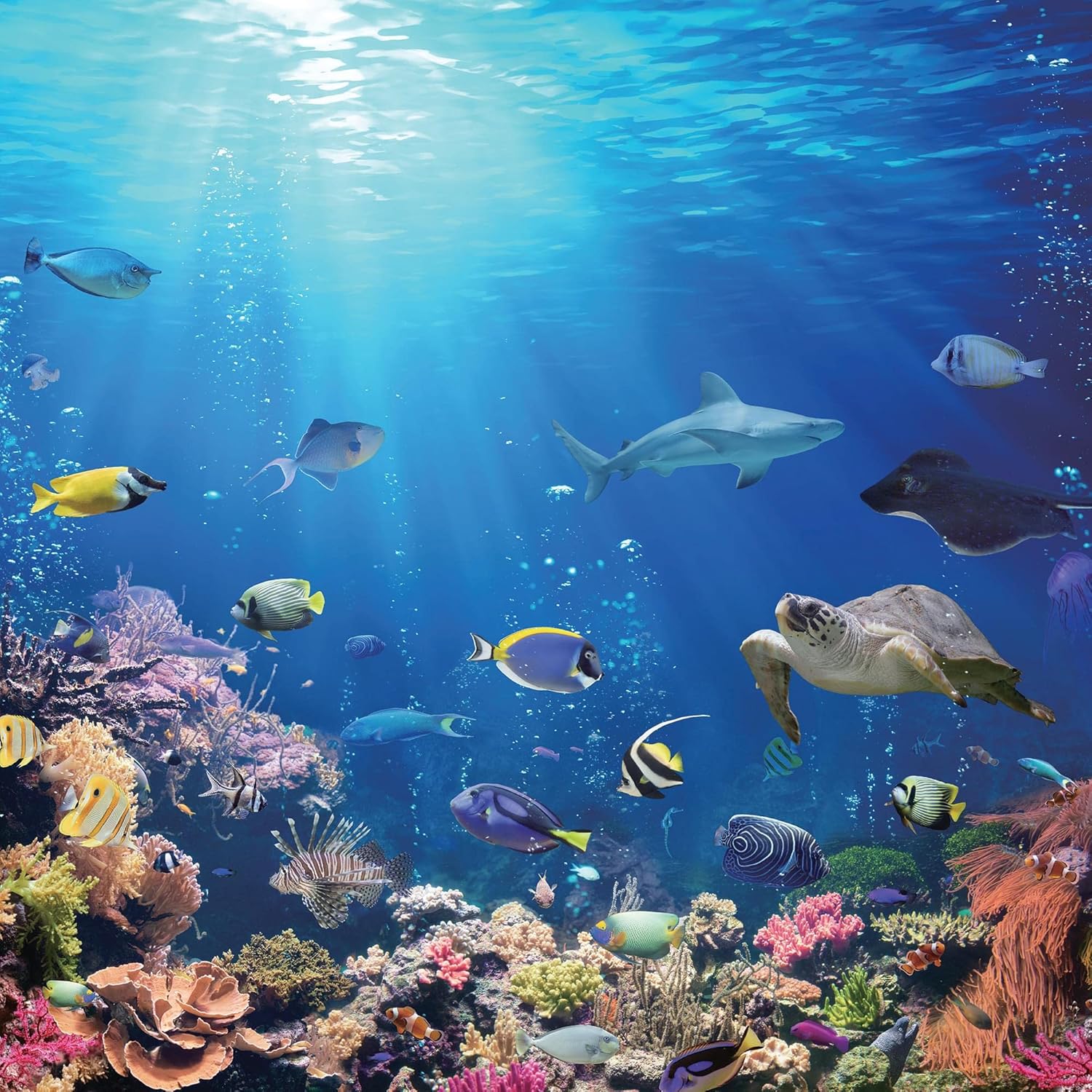 Under the Sea Coral Reef – Rompecabezas de 500 piezas para adultos y niños  Tablero interactivo para el cerebro, juguetes educativos y juegos para