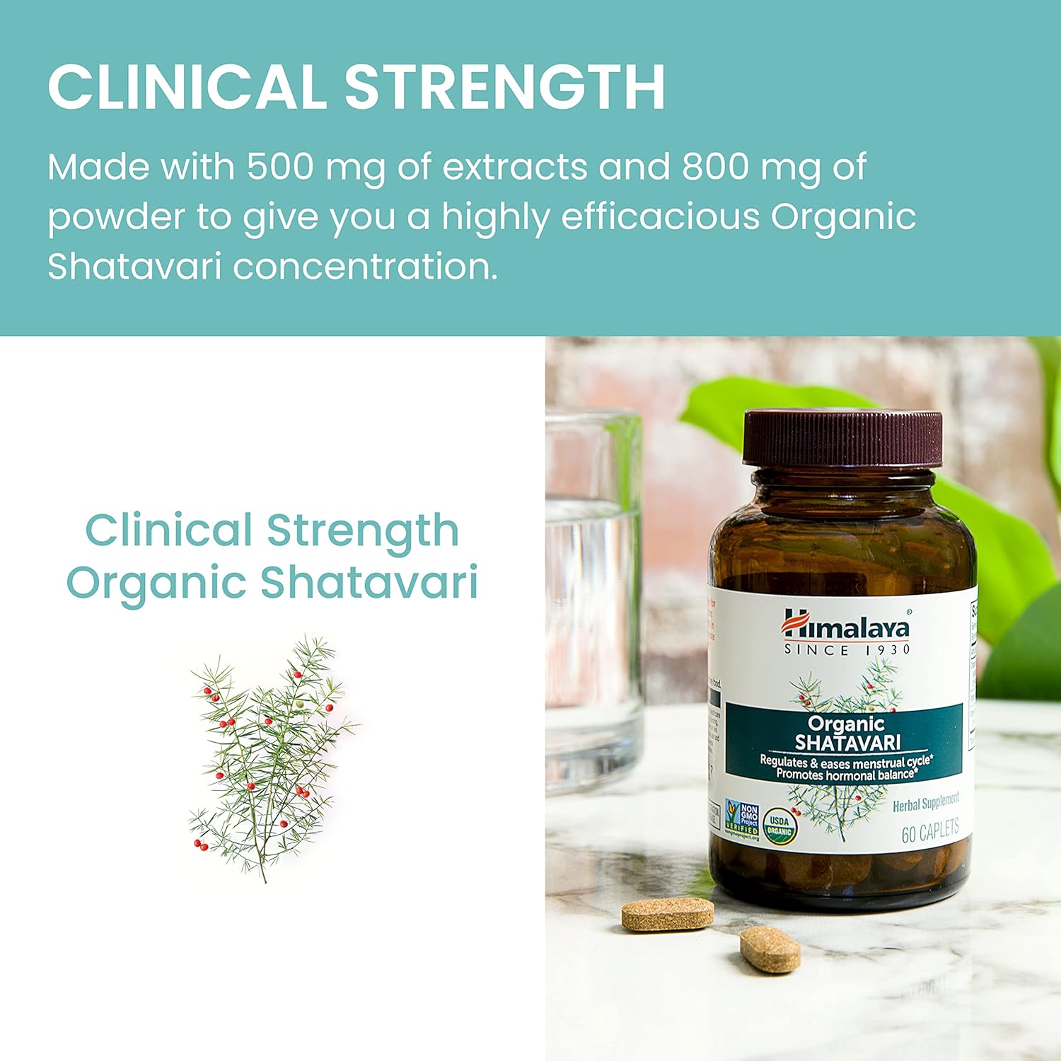Himalaya Shatavari orgánico para el síndrome premenstrual, alivio de los calambres menstruales, apoyo para la menopausia y salud de la mujer, 1,300
