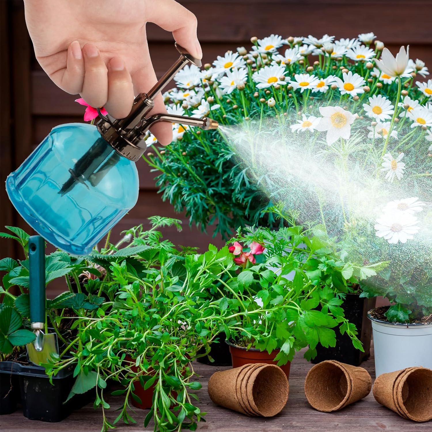 REFFU Plant Mister – Botella rociadora para plantas, rociador de plantas, botella de riego para suculentas con bomba superior para plantas de casa,