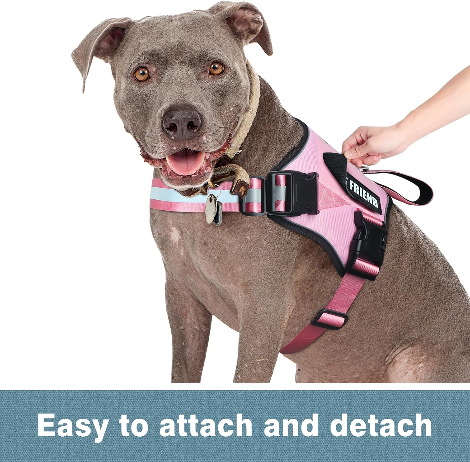 WINSEE Parches reflectantes para perros de servicio, parche de terapia para arnés de perro de servicio (paquete de 2, L)