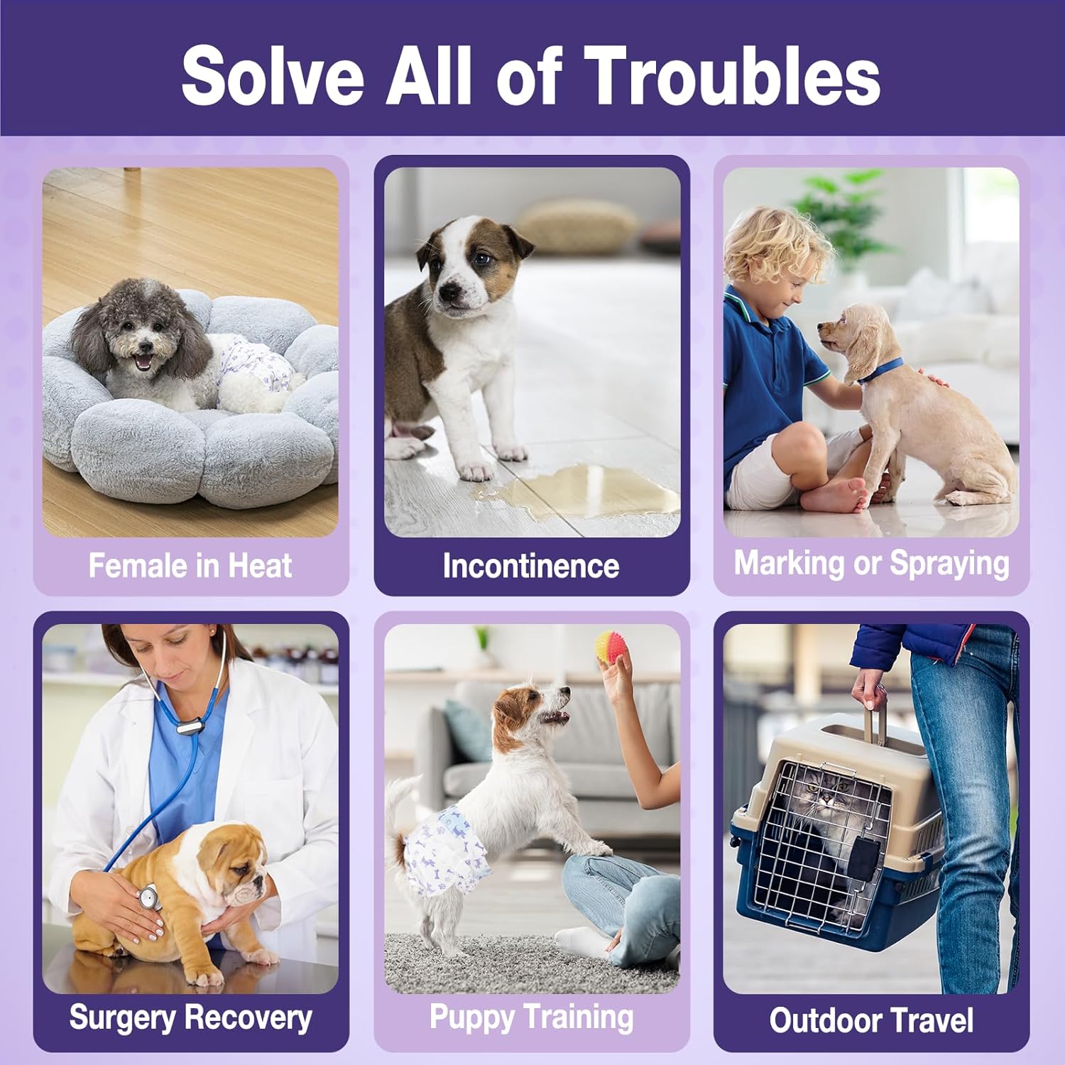 Pet Soft Pañales desechables para perras  Pañales desechables para perritos con indicador de humedad, pañales para cachorros y gatos, súper